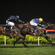 A Night at the Races